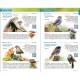 La Réunion en réalité augmenté. Austral Editions