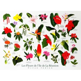 Les posters les fleurs de La Réunion Jade