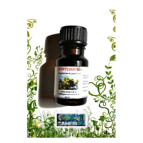 Huile essentielle de Cryptoméria Pays en 10ml