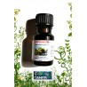 Huile essentielle de Cryptoméria Pays en 10ml