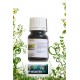 Parfum d'ambiance de vanille en 10ml