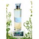 Eau de Parfum Brume Vanille : Le nouveau parfum de Boutique Australe